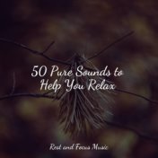 50 Pure Sounds to Help You Relax