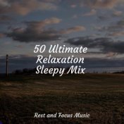 50 Ultimate Relaxation Sleepy Mix