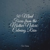 50 Mind Focus from the Mother Nature: Calming Rain