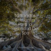 50 Sonidos Relajantes Para la Serenidad Del Spa