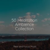 50 Meditation Ambience Collection