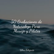 50 Grabaciones de Naturaleza Para Masaje y Pilates