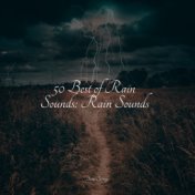 50 Best of Rain Sounds: Rain Sounds