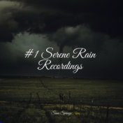 #1 Serene Rain Recordings