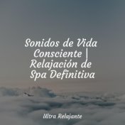 Sonidos de Vida Consciente | Relajación de Spa Definitiva