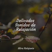 Delicados Sonidos de Relajación