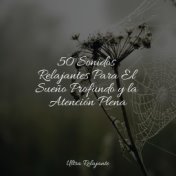 50 Sonidos Relajantes Para El Sueño Profundo y la Atención Plena