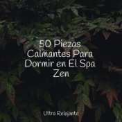 50 Piezas Calmantes Para Dormir en El Spa Zen