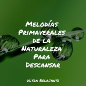 Melodías Primaverales de la Naturaleza Para Descansar