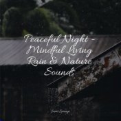 Peaceful Night - Mindful Living Rain & Nature Sounds