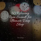 50 Relaxing Rain Sounds for Ultimate Deep Sleep
