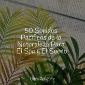 50 Sonidos Pacíficos de la Naturaleza Para El Spa y El Sueño