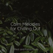 Calm Melodies for Chilling Out