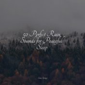 50 Perfect Rain Sounds for Peaceful Sleep