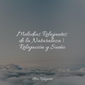 Melodías Relajantes de la Naturaleza | Relajación y Sueño