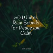 50 Winter Rain Sounds for Peace and Calm