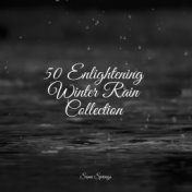 50 Ambient Rain Sounds for Sleep and Relaxation