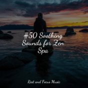 #50 Soothing Sounds for Zen Spa