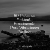 50 Pistas de Ambiente Emocionante Para Vibraciones Pacíficas