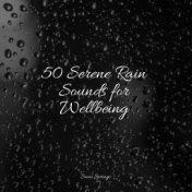 50 Serene Rain Sounds for Wellbeing