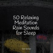 50 Relaxing Meditation Rain Sounds for Sleep