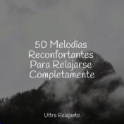 50 Melodías Reconfortantes Para Relajarse Completamente