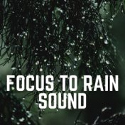 Focus to Rain Sound