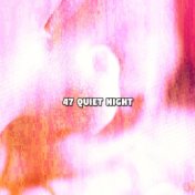47 Quiet Night