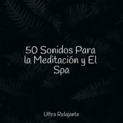 50 Sonidos Para la Meditación y El Spa