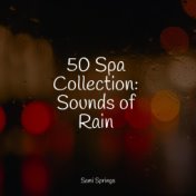 50 Spa Collection: Sounds of Rain