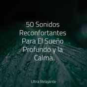 50 Sonidos Reconfortantes Para El Sueño Profundo y la Calma