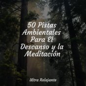 50 Pistas Ambientales Para El Descanso y la Meditación