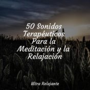 50 Sonidos Terapéuticos Para la Meditación y la Relajación