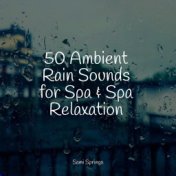 50 Loopable Rain Sounds for Meditation and Sleep