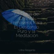 50 Pistas de Chillout Primaveral Para El Descanso Puro y la Meditación