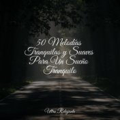 50 Melodías Tranquilas y Suaves Para Un Sueño Tranquilo