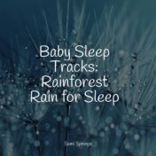 Baby Sleep Tracks: Rainforest Rain for Sleep