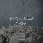 50 Rain Sounds to Loop