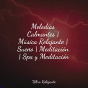 Melodías Calmantes | Música Relajante | Sueño | Meditación | Spa y Meditación