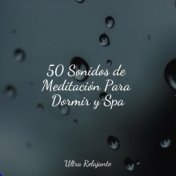 50 Sonidos de Meditación Para Dormir y Spa