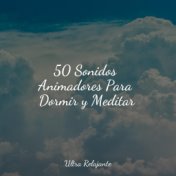 50 Sonidos Animadores Para Dormir y Meditar