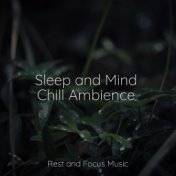 Sleep and Mind Chill Ambience