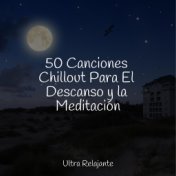 50 Canciones Chillout Para El Descanso y la Meditación