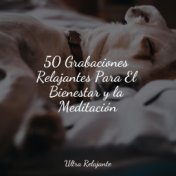 50 Grabaciones Relajantes Para El Bienestar y la Meditación