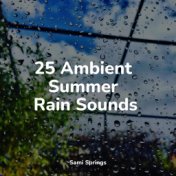 25 Ambient Summer Rain Sounds