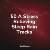 50 A Stress Relieving Sleep Rain Tracks