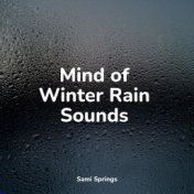 Mind of Winter Rain Sounds
