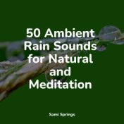 50 Ambient Rain Sounds for Natural and Meditation