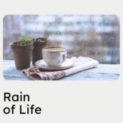 Rain of Life