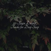 50 Rain Droplet Tracks for Deep Sleep